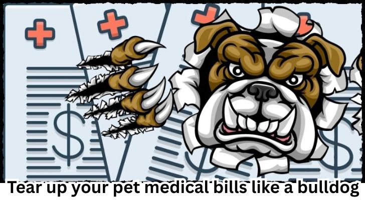 Veterinary bills piling up? Avoid 'free pet insurance' scams - these legitimate low-cost plans can help!
