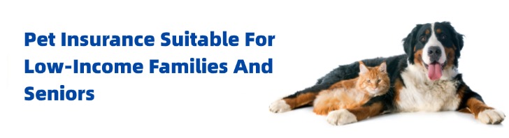 🐾 2025 Pet Insurance Options for Seniors & Low-Income Families: What You Need to Know